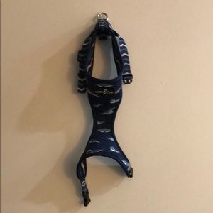 Lucy & Co. Shark Dog Harness | Up to 20 lbs.